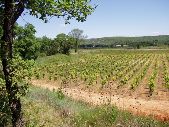 04-05_06-Traveaux-(15)