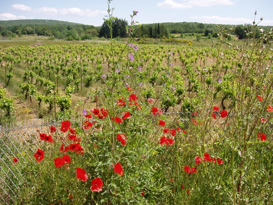 04-05_06-Traveaux-(30)