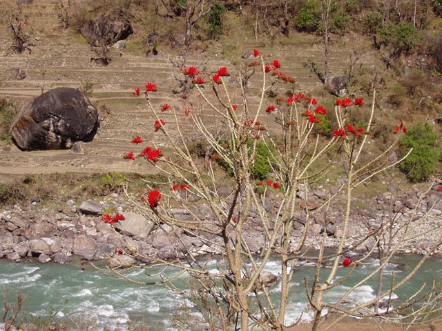 besisaharP1010132 (19)