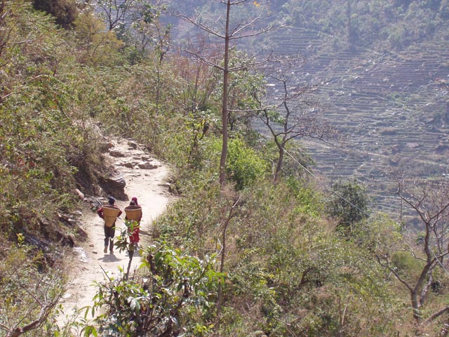 besisaharP1010132 (27)