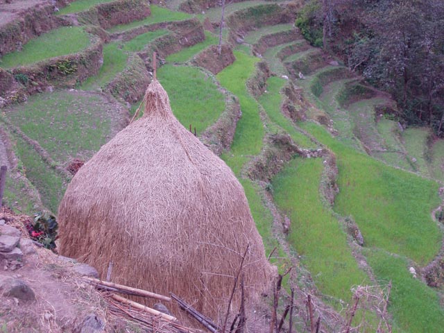 besisaharP1010132 (47)