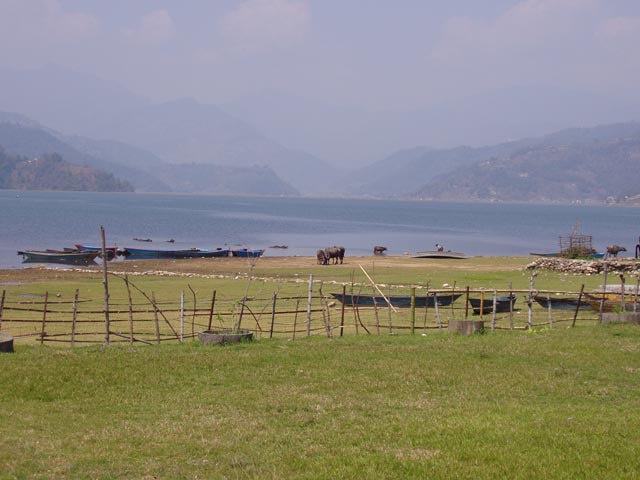 dapokharaP1010148 (2)