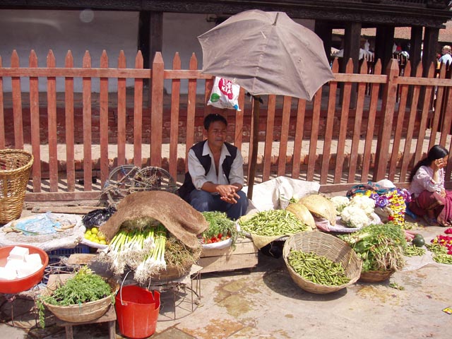 eBakhtapurP1010001 (36)