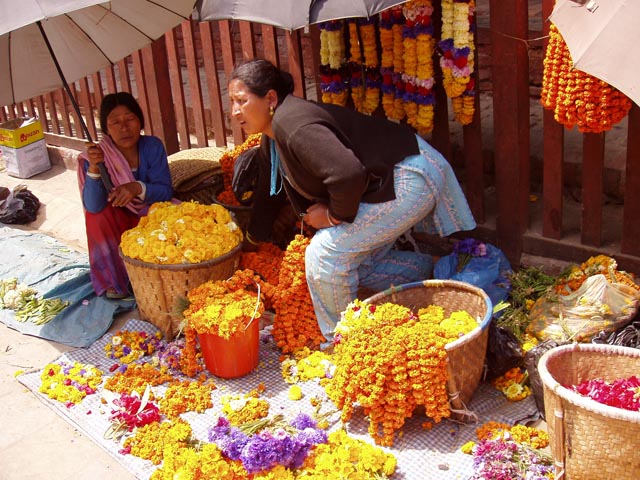 eBakhtapurP1010001 (38)