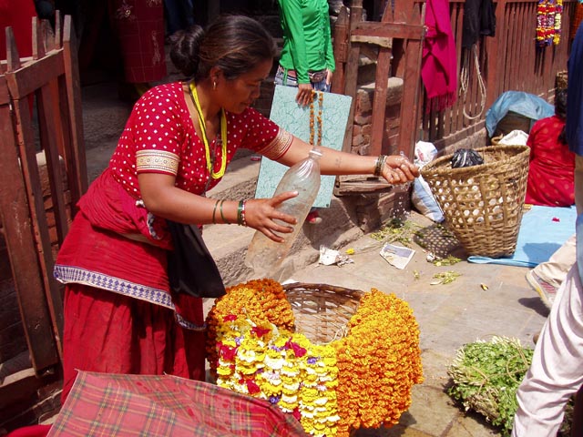 eBakhtapurP1010001 (40)