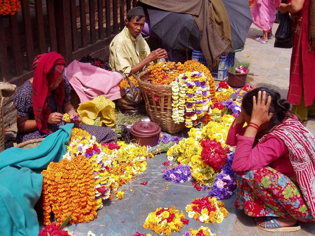 eBakhtapurP1010001 (42)