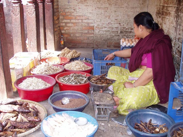 eBakhtapurP1010001 (46)