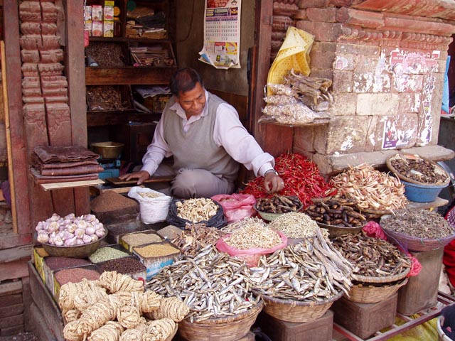 eBakhtapurP1010001 (47)