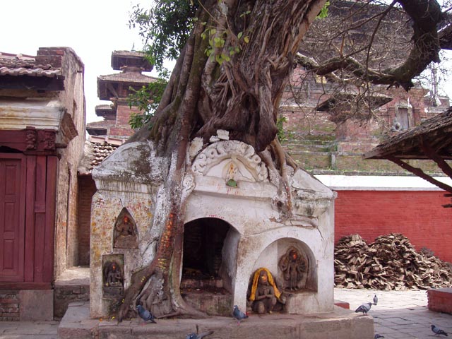 eBakhtapurP1010001 (54)