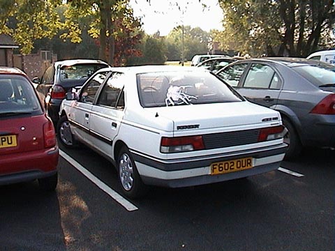 eDSC00001