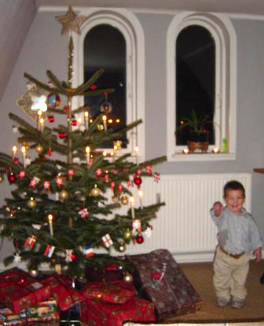 Nicolaj_Christmastree[1]